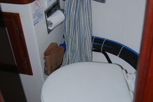 Photo 1739469 for 1988 Freedom  Paradigm 