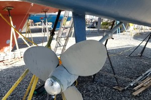 Photo 1739474 for 1988 Freedom  Paradigm 