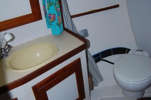 Photo 1739468 for 1988 Freedom  Paradigm 