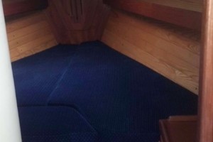 Photo 1739470 for 1988 Freedom  Paradigm 