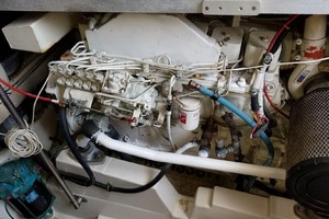 Photo 1739545 for 1995 Catalina 34 Islander Salty Pepper 