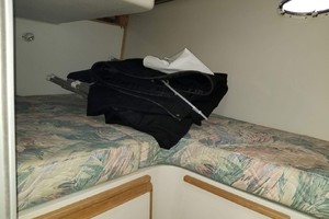 Photo 1739522 for 1995 Catalina 34 Islander Salty Pepper 