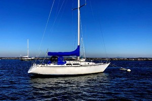 Photo 1739905 for 1981 C&C 40 Tall Rig Deep Keel Challenge 