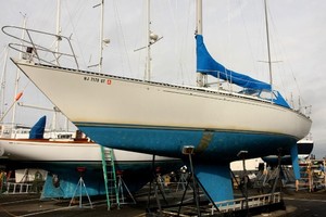 Photo 1739888 for 1981 C&C 40 Tall Rig Deep Keel Challenge 