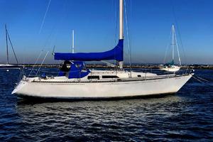 Photo 1736979 for 1981 C&C 40 Tall Rig Deep Keel Challenge 