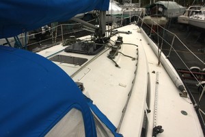 Photo 1739887 for 1981 C&C 40 Tall Rig Deep Keel Challenge 