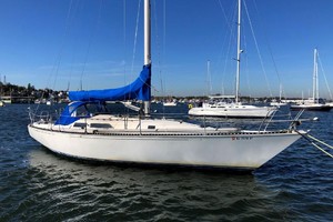 Photo 1739884 for 1981 C&C 40 Tall Rig Deep Keel Challenge 