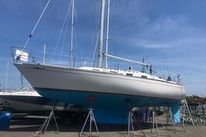 Photo 1737000 for 1985 Tartan  Carpe Diem 