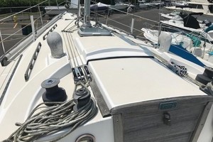 Photo 1739955 for 1985 Tartan  Carpe Diem 