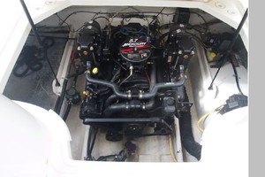 Patty Wagon 24ft Bayliner Yacht For Sale