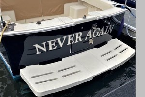 Never Again 30ft Mainship Yacht For Sale
