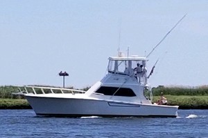 Joint Custody 40ft Pace Yacht For Sale
