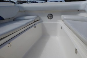 Alexander II 30ft Wellcraft Yacht For Sale