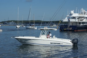 Alexander II 30ft Wellcraft Yacht For Sale