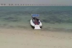 2022 Ocean Craft Marine Beachlander 8.75 thumbnail 13