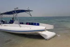 2022 Ocean Craft Marine Beachlander 8.75 thumbnail 1