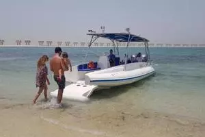 2022 Ocean Craft Marine Beachlander 8.75 thumbnail 12