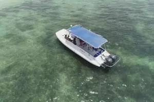 2022 Ocean Craft Marine Beachlander 8.75 thumbnail 6