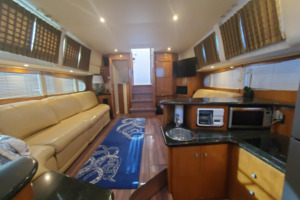 Carver 39 - Regal S - Salon