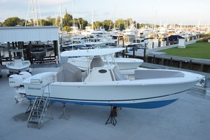 2019 Regulator 31