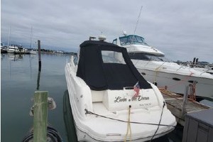 Livin the Dream 34ft Sea Ray Yacht For Sale