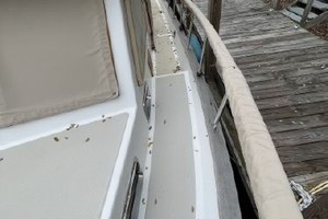 Friar Tuck 36ft Monk Yacht For Sale