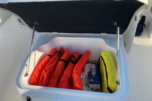 Photo 2276145 for 2020 Sea Fox 268 Commander  