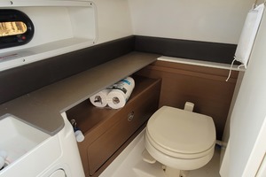 Photo 2257176 for 2016 Sea Ray 290 Sundeck  