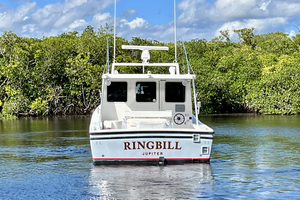 Ringbill 42ft Provincial Yacht For Sale