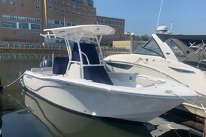 Photo 2324869 for 2020 Sea Fox 228  