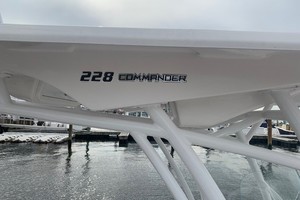 Photo 2324874 for 2020 Sea Fox 228  