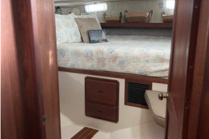 Eliza 41ft Morgan Yacht For Sale