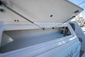 Sea Ray 51 - Worth the Wake II - Swim Platform