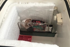 Photo 3149157 for 2002 Beneteau   