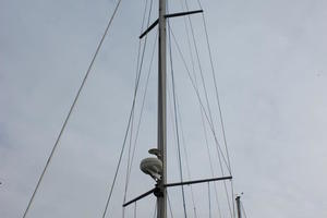 Dealership Sales 42ft Catalina Yacht For Sale