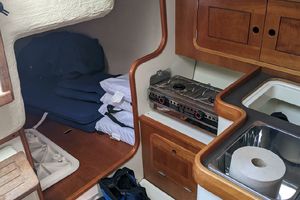 Photo 3173875 for 2013 Tartan 101  