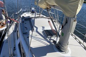 FAT CAT 38ft Catalina Yacht For Sale