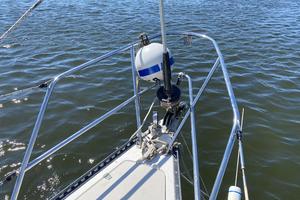 FAT CAT 38ft Catalina Yacht For Sale