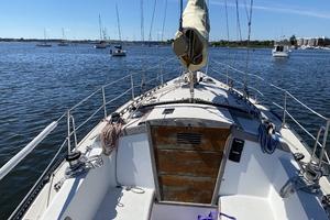 FAT CAT 38ft Catalina Yacht For Sale