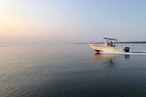 Photo 3227386 for 2007 Sea Fox Sea Fox 216CC Pro Series  