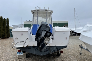 MARIA ROSE 22ft Pro Line Yacht For Sale