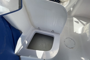 MARIA ROSE 22ft Pro Line Yacht For Sale
