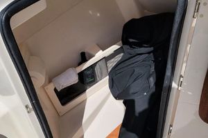 Photo 3232946 for 2019 Grady-White 215  