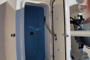 Photo 3232939 for 2019 Grady-White 215  