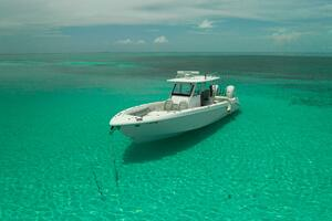 2019 Everglades 355 CC thumbnail 18