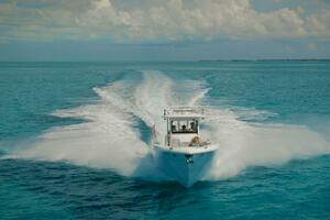 2019 Everglades 355 CC thumbnail 22