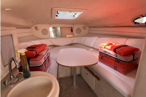 Love Two Sea 26ft Sea Ray Yacht For Sale