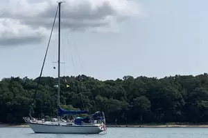 1983 Morgan 383 thumbnail 2