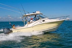 Photo 3279492 for 2008 Scout 295 Abaco  