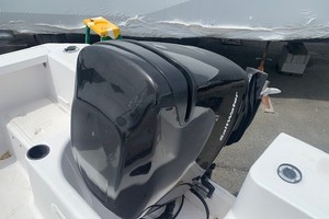 Photo 3273544 for 2003 Pro-Line Walk Around  